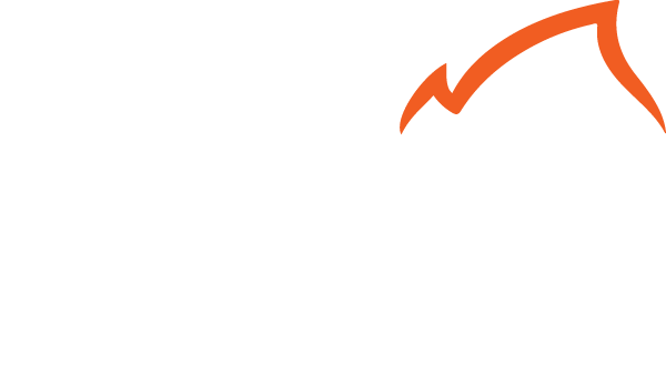 TorchLight Companies logo